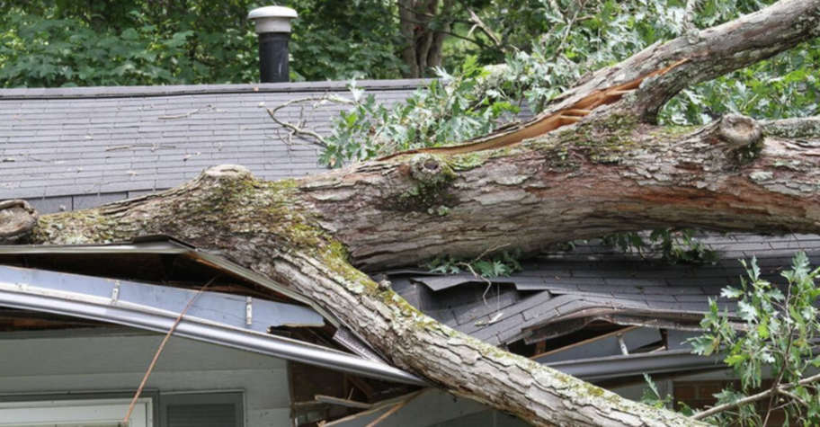 Un árbol cayó sobre la casa tras una tormenta en Val-Belair. Será retirado por Emondage Val-Belair.