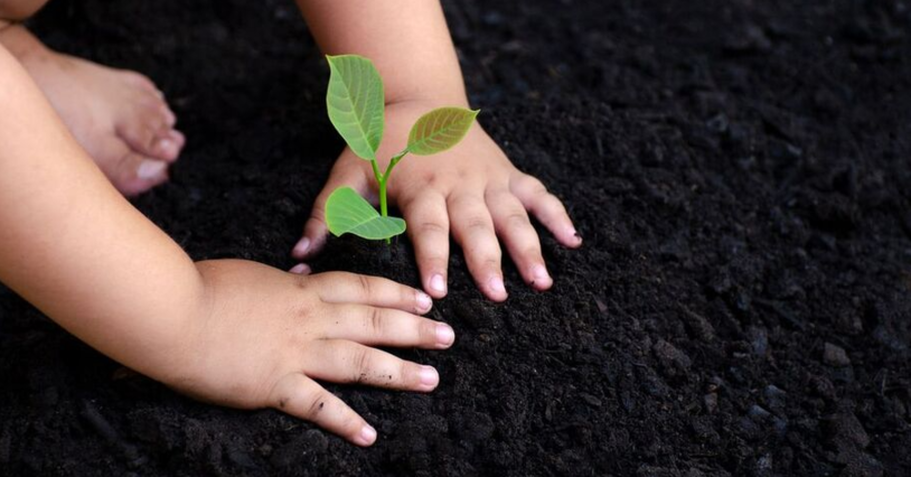 Enfant à Val-Belair qui plante un jeune arbre.