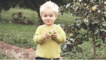 Niño en Val-Belair comiendo una manzana de un manzano plantado por Emondage Val-Belair.