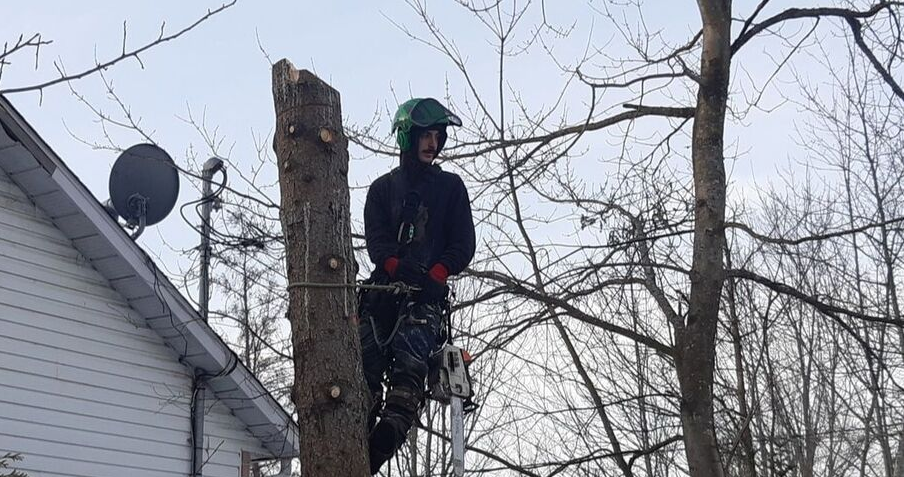 Émondeur de Emondage Val-Belair qui émonde un arbre à Val-Belair.